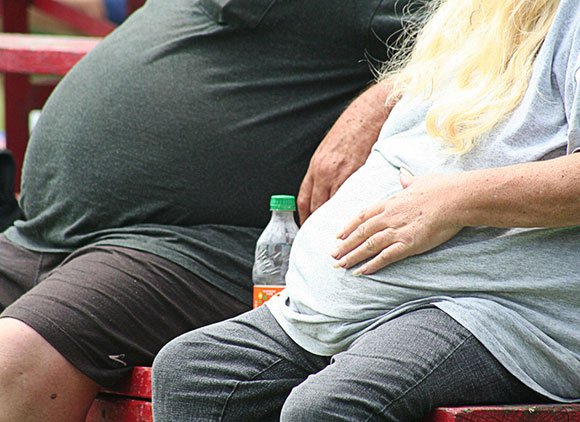 Two Obese People Sitting On A Bench