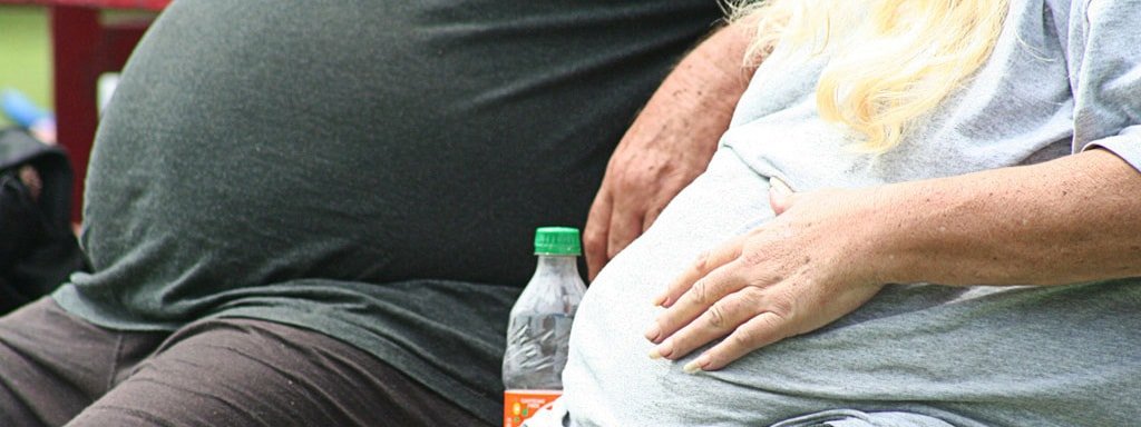 Two Obese People Sitting On A Bench